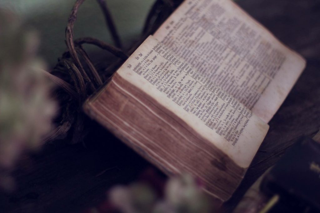 close up photo of bible opened near flowers